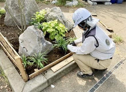 箱根植木株式会社の画像・写真