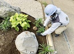 箱根植木株式会社の画像・写真