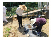 株式会社アクタガワの画像・写真